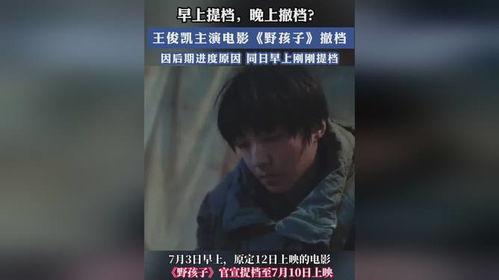 野孩子电影在线观看,探寻自然与成长的奇幻之旅  第2张